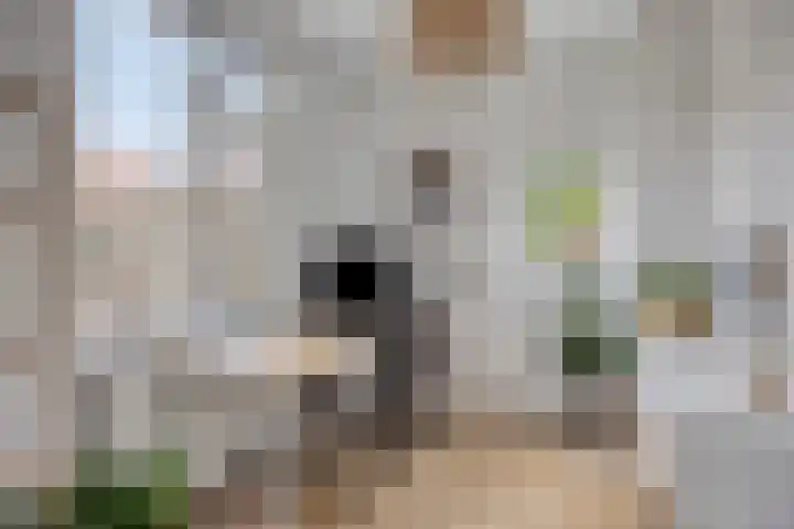 van Marckelplein 8 Deventer thumbnail 17