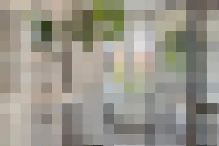 van Marckelplein 8 Deventer thumbnail 18
