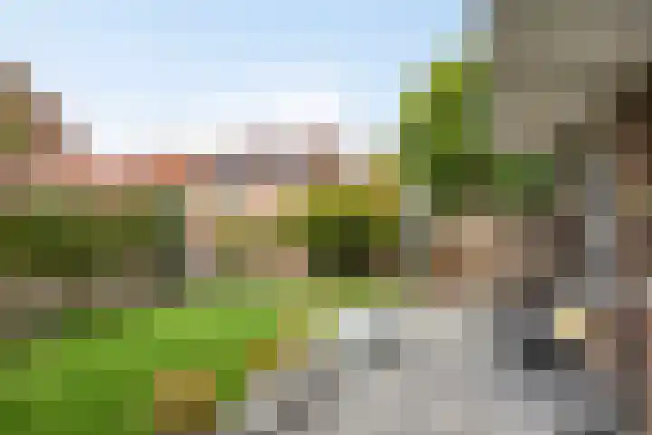 van Marckelplein 8 Deventer thumbnail 21