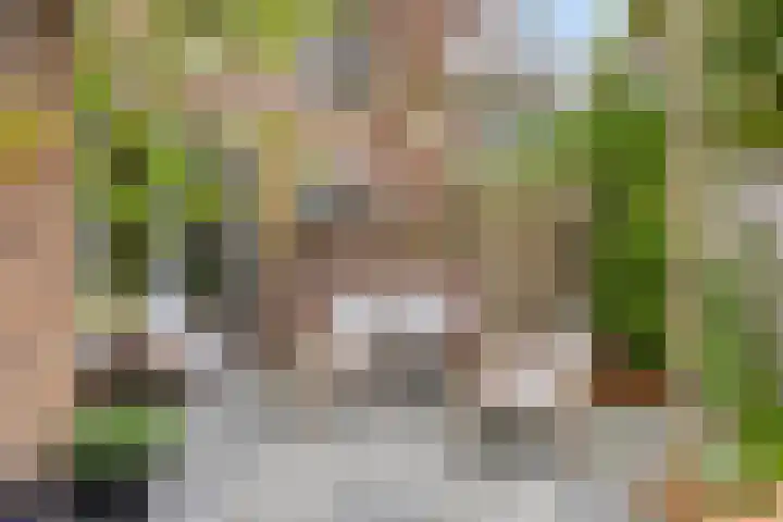 van Marckelplein 8 Deventer thumbnail 25