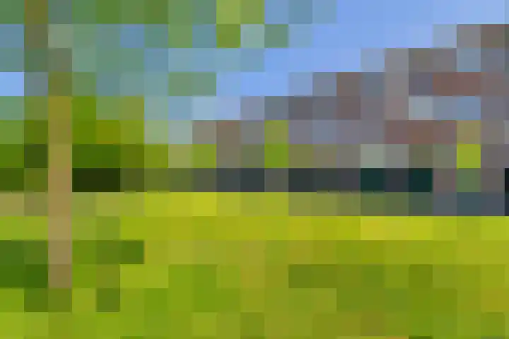 van Markenplantsoen 134 Diemen thumbnail 31