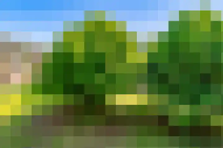 van Markenplantsoen 134 Diemen thumbnail 41