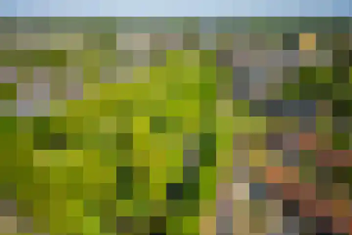 van Markenplantsoen 134 Diemen thumbnail 46