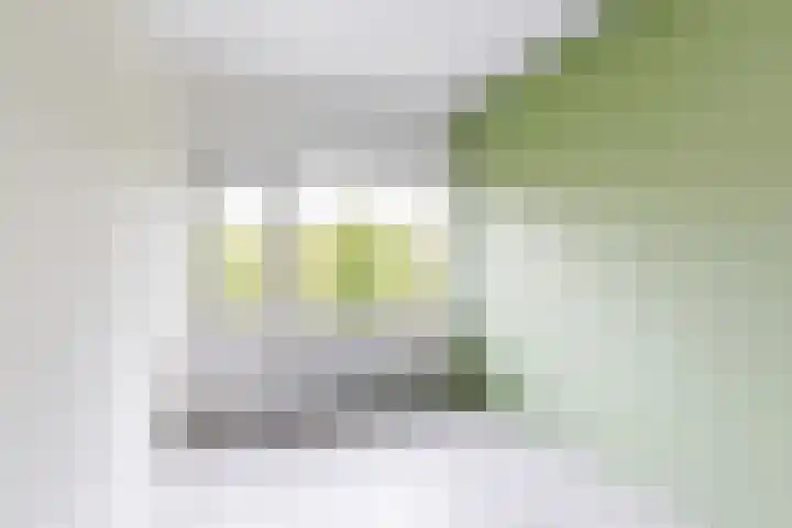 van Markenplantsoen 152 Diemen thumbnail 9