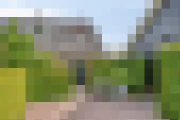van Markenstraat 7 Hengelo thumbnail 32