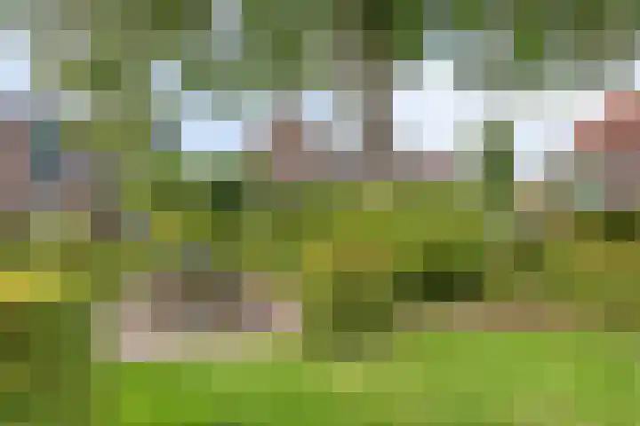 van Markenstraat 7 Hengelo thumbnail 36