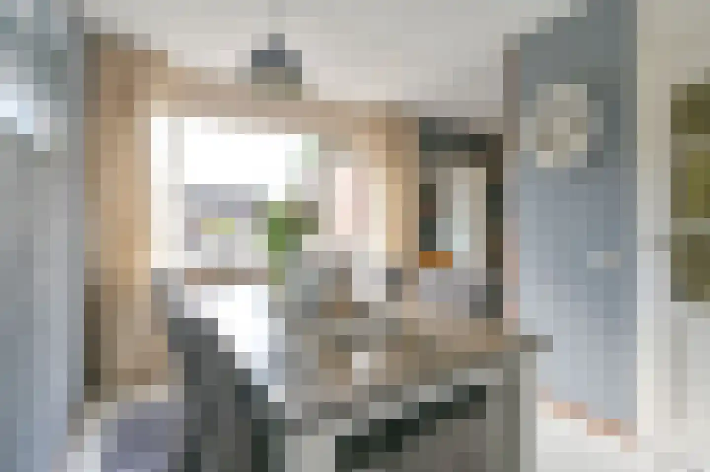 van Marleweg 14 Noordscheschut thumbnail 13