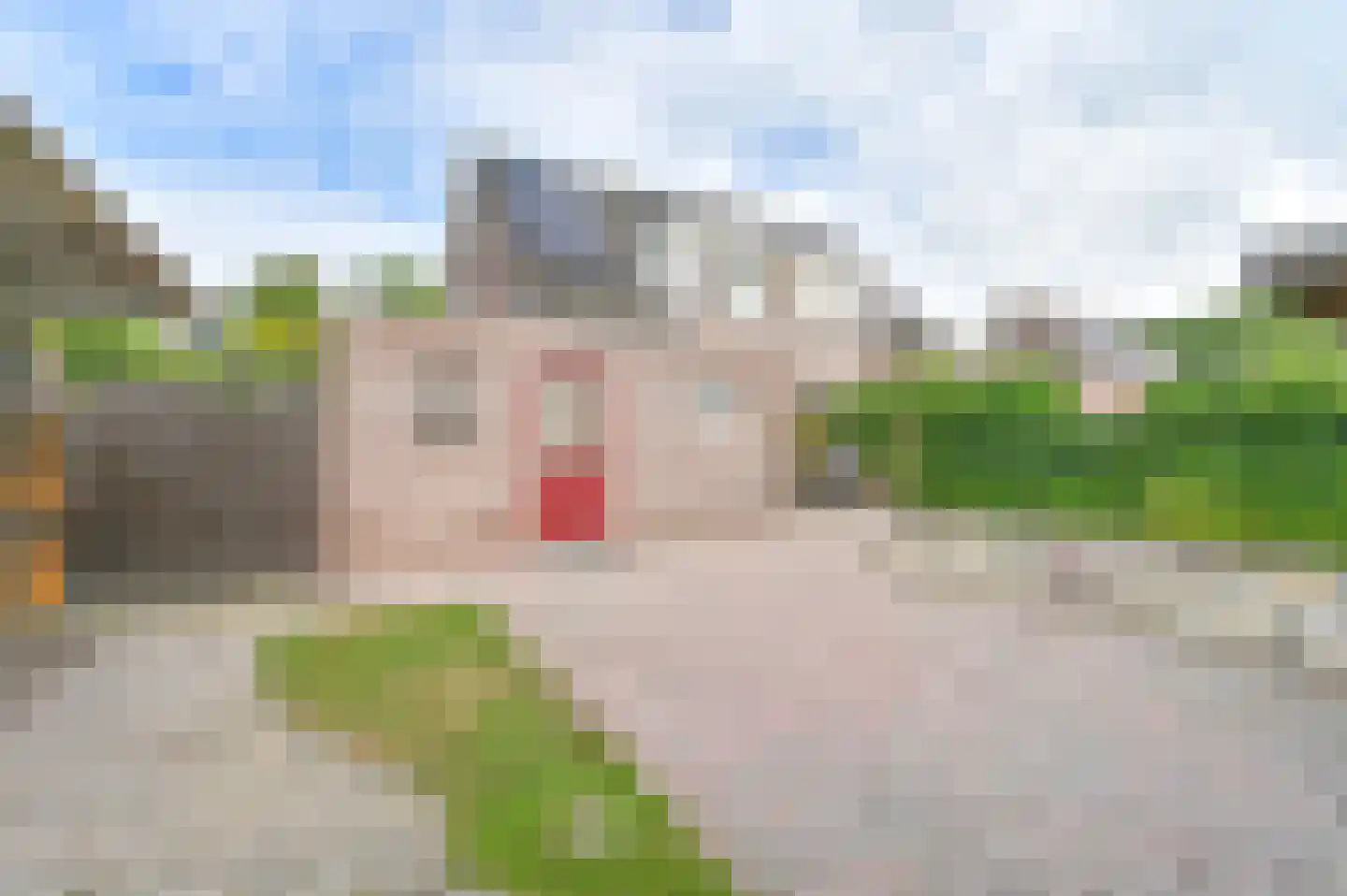 van Marleweg 14 Noordscheschut thumbnail 39