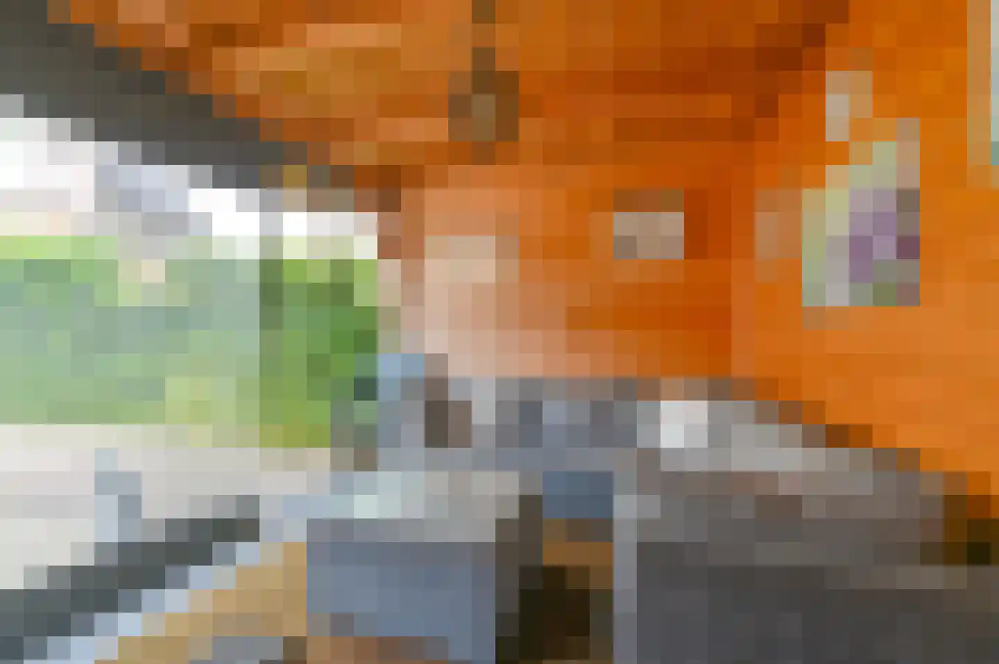 van Marleweg 14 Noordscheschut thumbnail 42