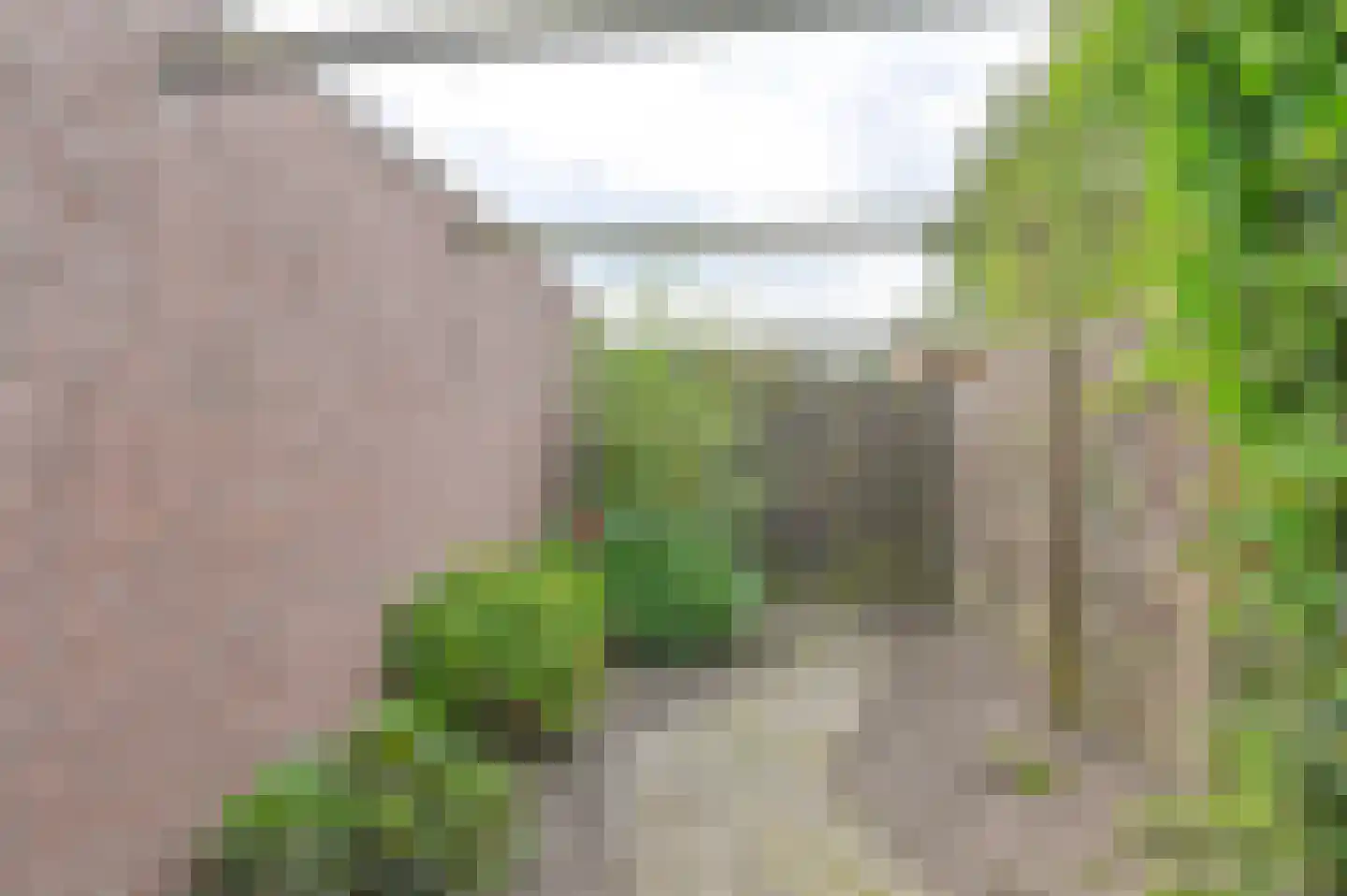 van Marleweg 14 Noordscheschut thumbnail 43