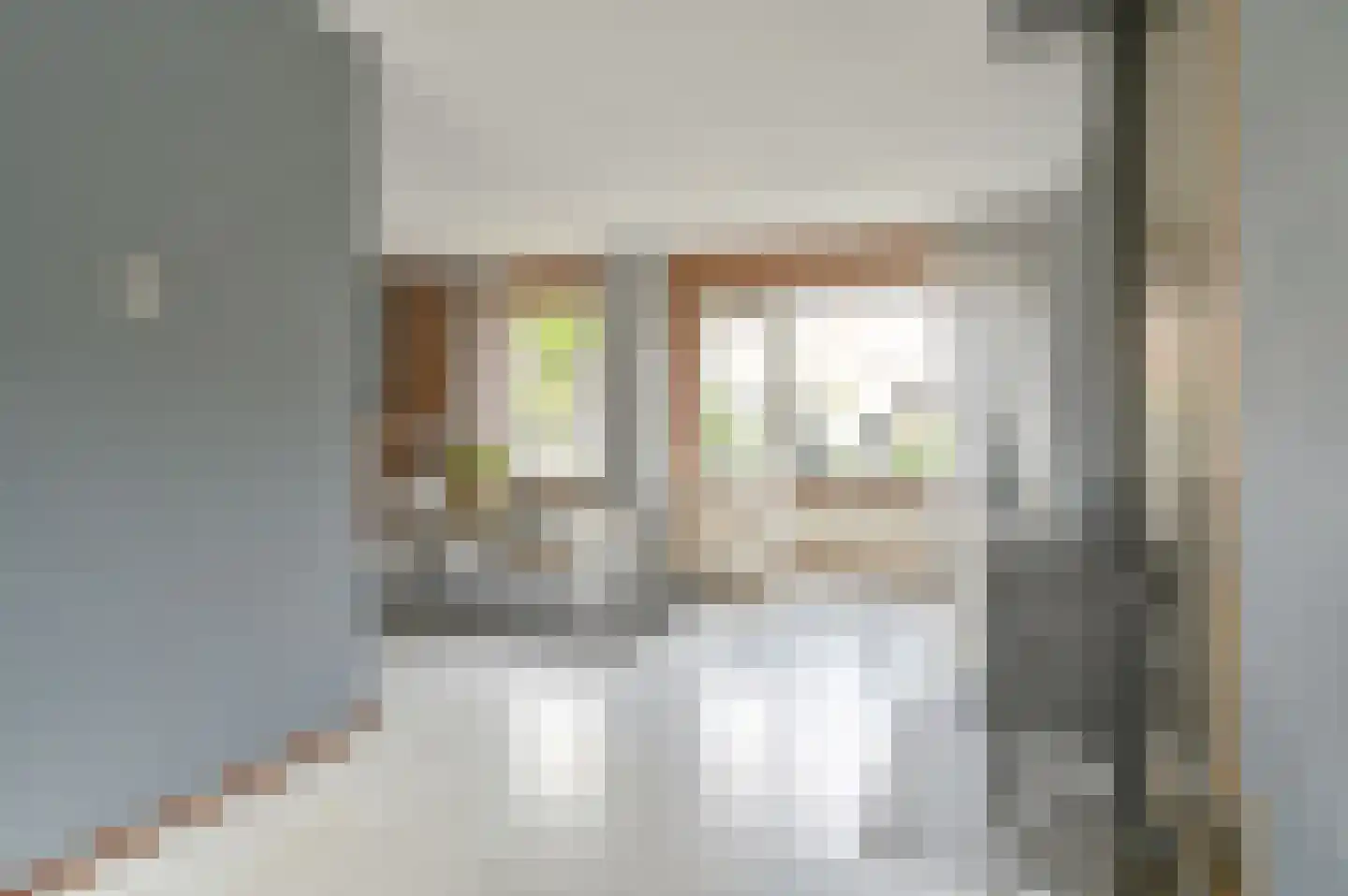 van Marleweg 14 Noordscheschut thumbnail 8