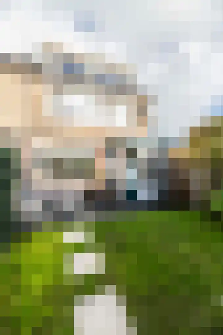 van Marlotstraat 68 Giessenburg thumbnail 36