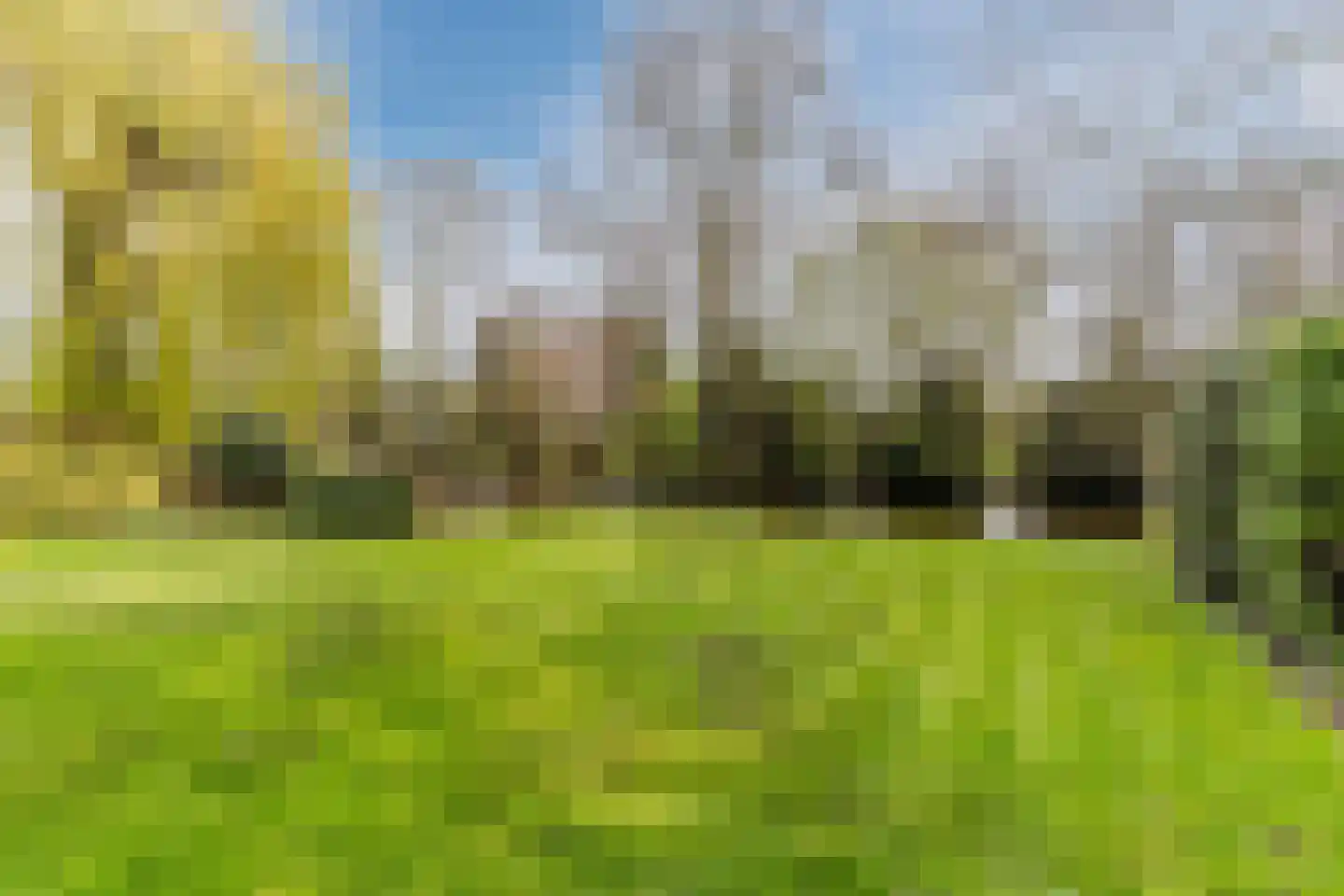 van Marlotstraat 69 Giessenburg thumbnail 23