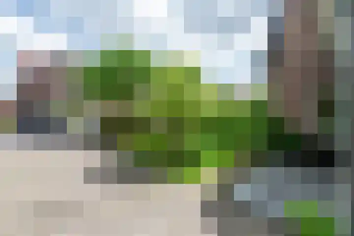 Van Marnixlaan 27 A Amersfoort foto 3