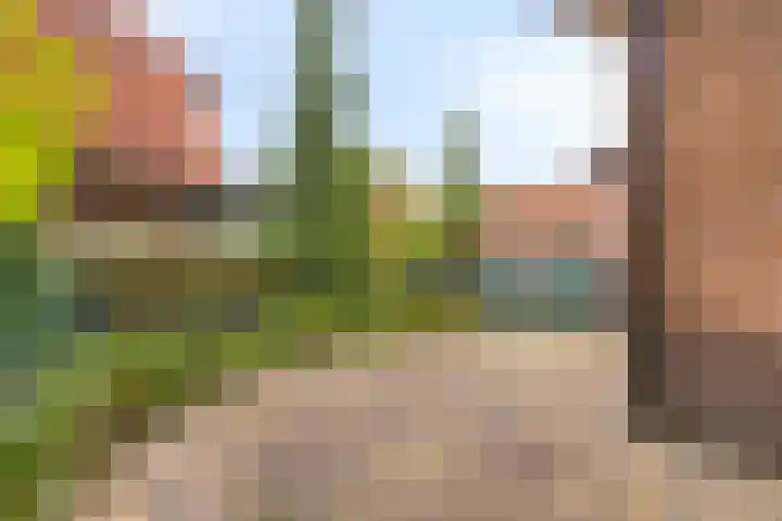 Van Marnixlaan 46 Amersfoort thumbnail 23