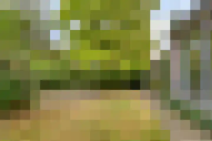 Van Marnixlaan 46 Amersfoort thumbnail 26