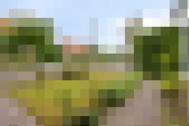 Van Marnixlaan 46 Amersfoort thumbnail 27