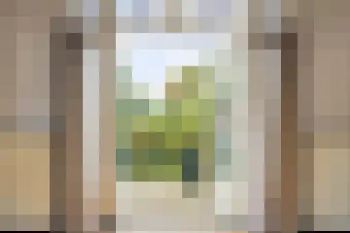 Van Marnixlaan 46 Amersfoort thumbnail 8