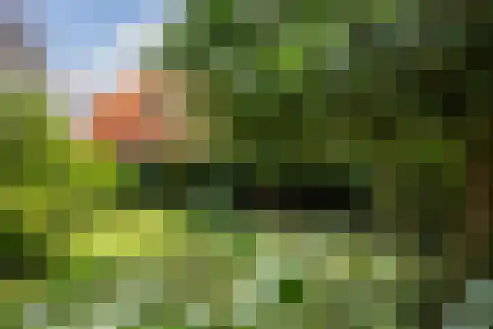 Van Marnixlaan 56 Amersfoort thumbnail 26