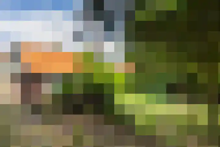 Van Marnixlaan 56 Amersfoort thumbnail 32