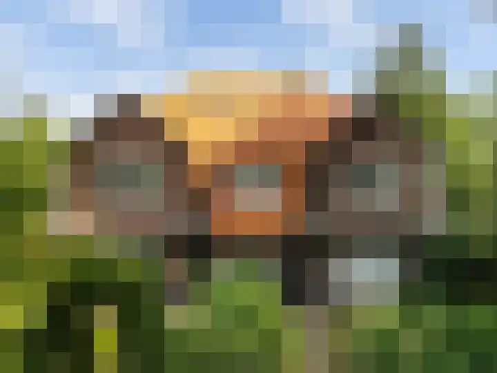 Van Marnixlaan 56 Amersfoort thumbnail 5