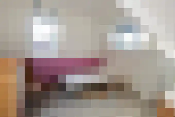 Van Marnixlaan 66 Amersfoort thumbnail 33