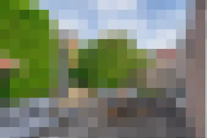 Van Marumstraat 10 Utrecht thumbnail 6