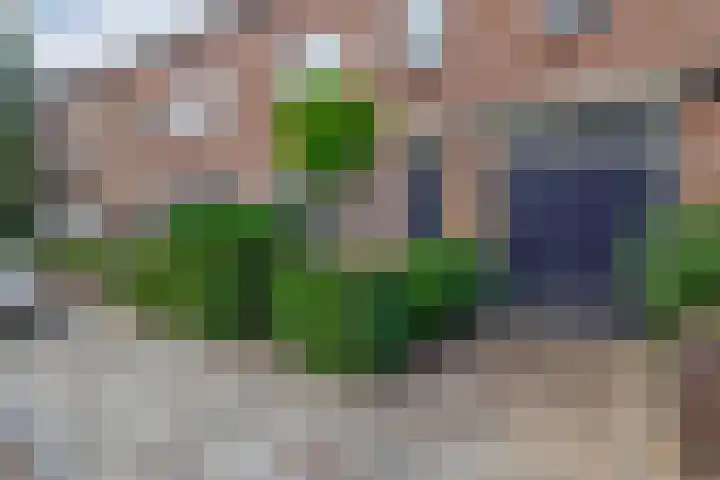 Van Marumstraat 10 Utrecht thumbnail 7