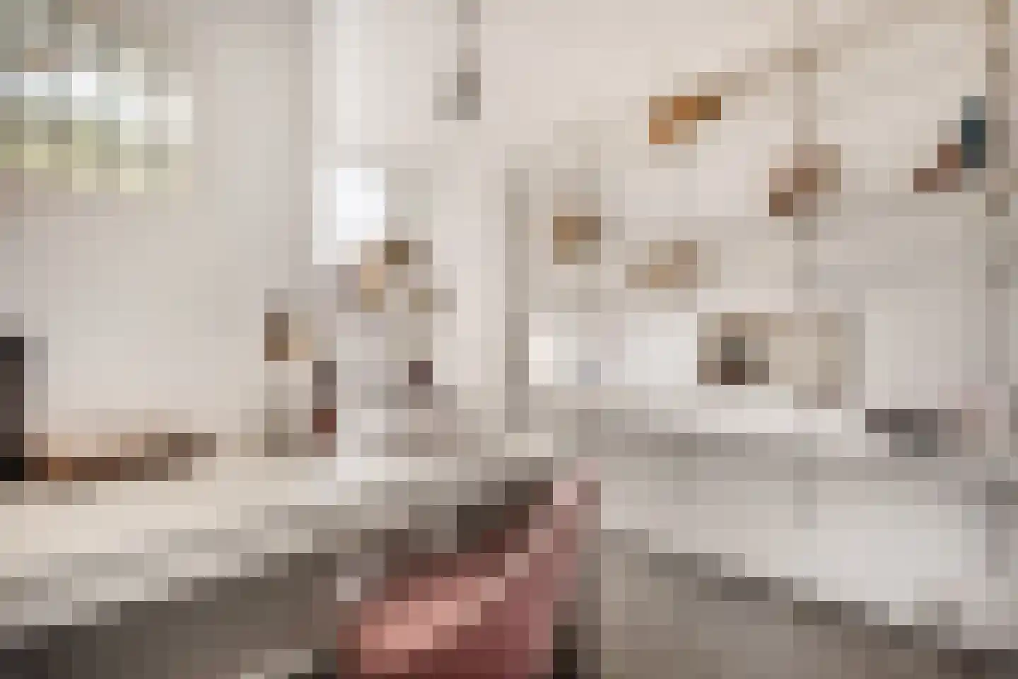 Van Marumstraat 18 ZW Haarlem thumbnail 21