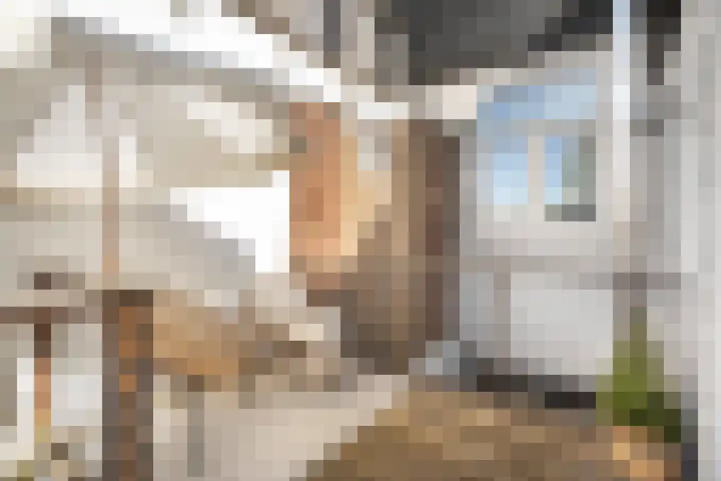 Van Marumstraat 18 ZW Haarlem thumbnail 26