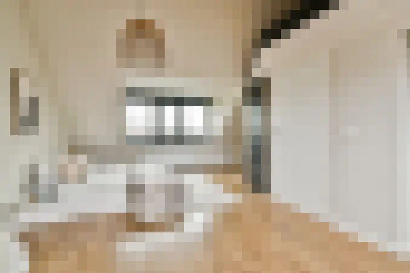 Van Marumstraat 32 Haarlem thumbnail 20