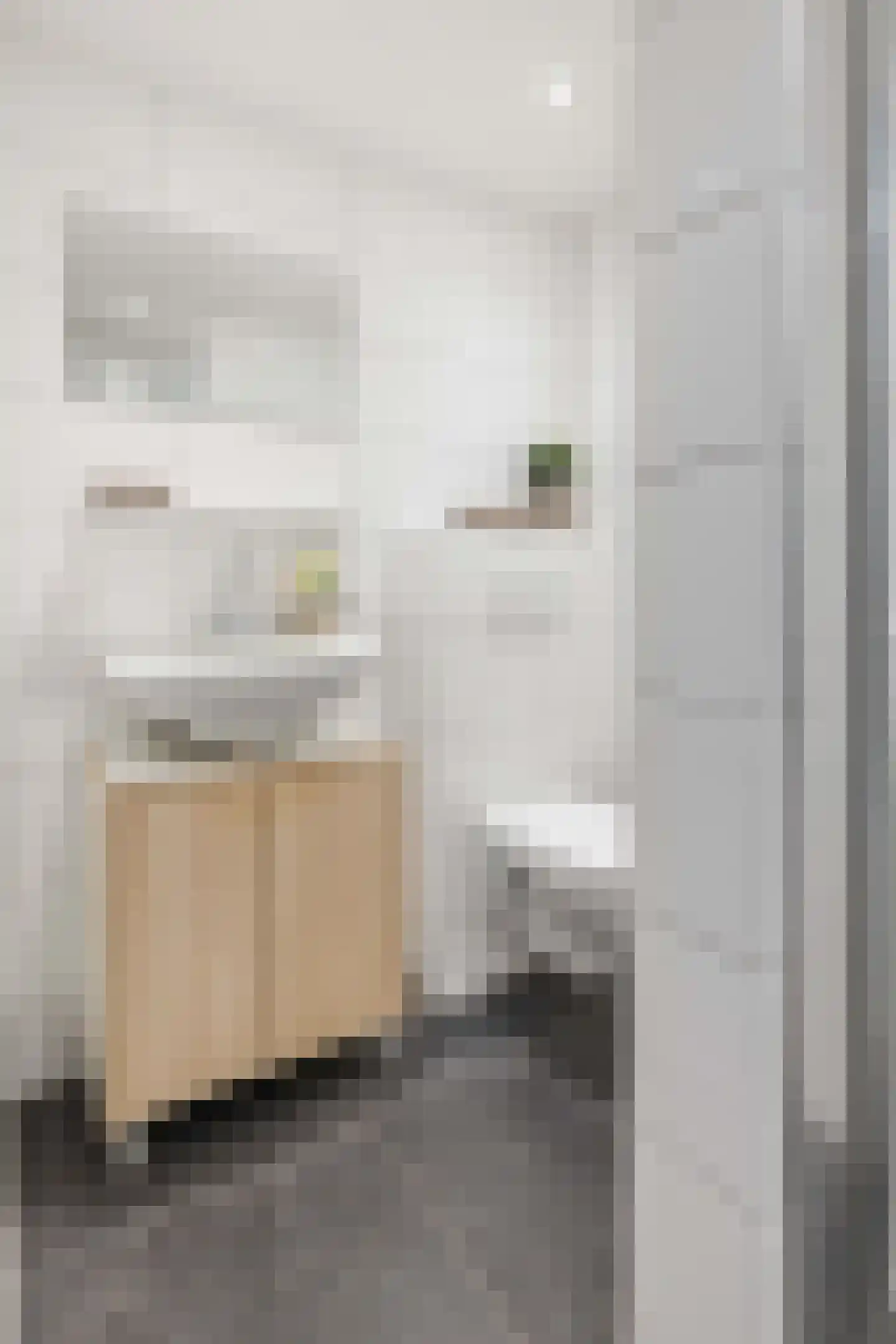 Van Marumstraat 5 A Utrecht thumbnail 16