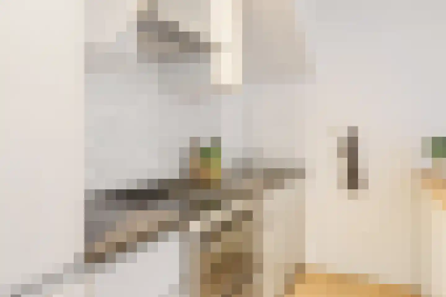 Van Marumstraat 5 A Utrecht thumbnail 8