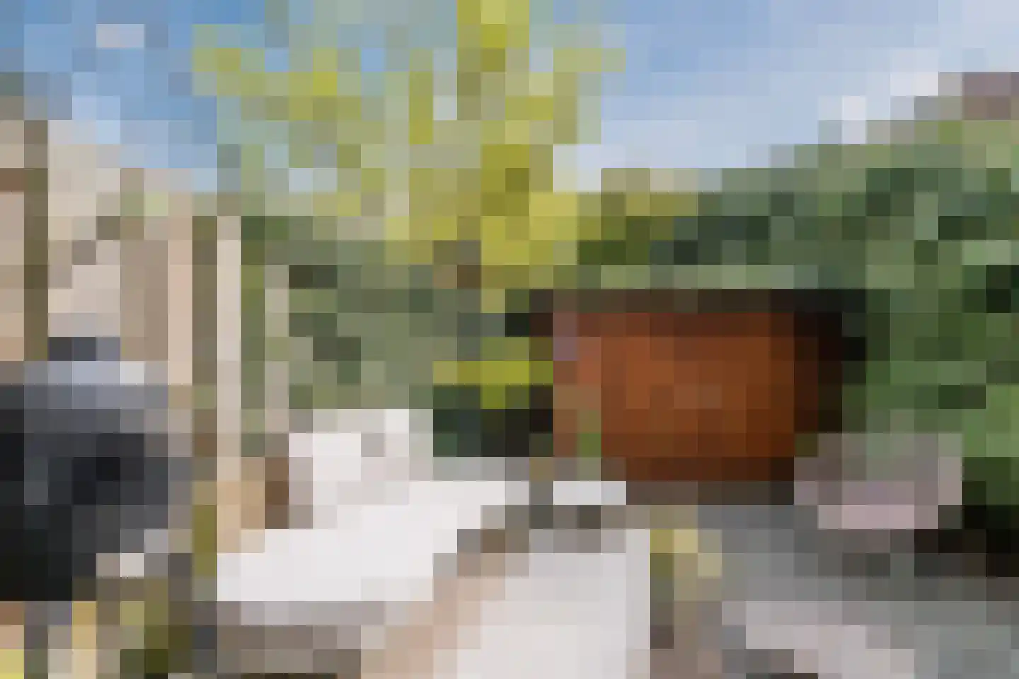 Van Marumstraat 5 Utrecht thumbnail 30