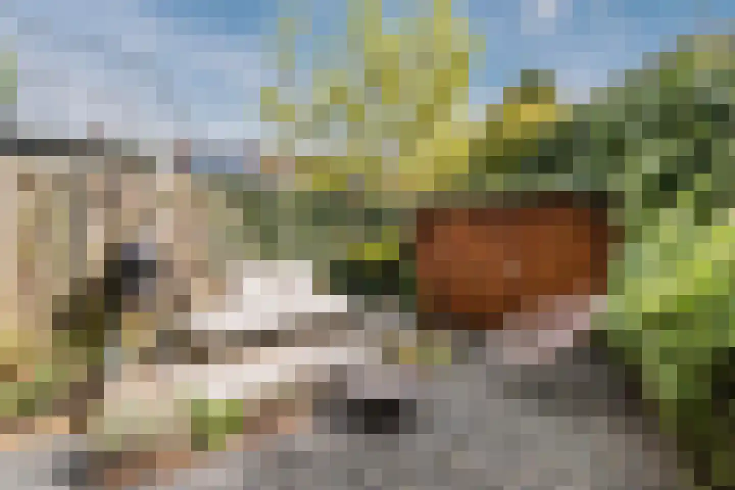 Van Marumstraat 5 Utrecht thumbnail 31