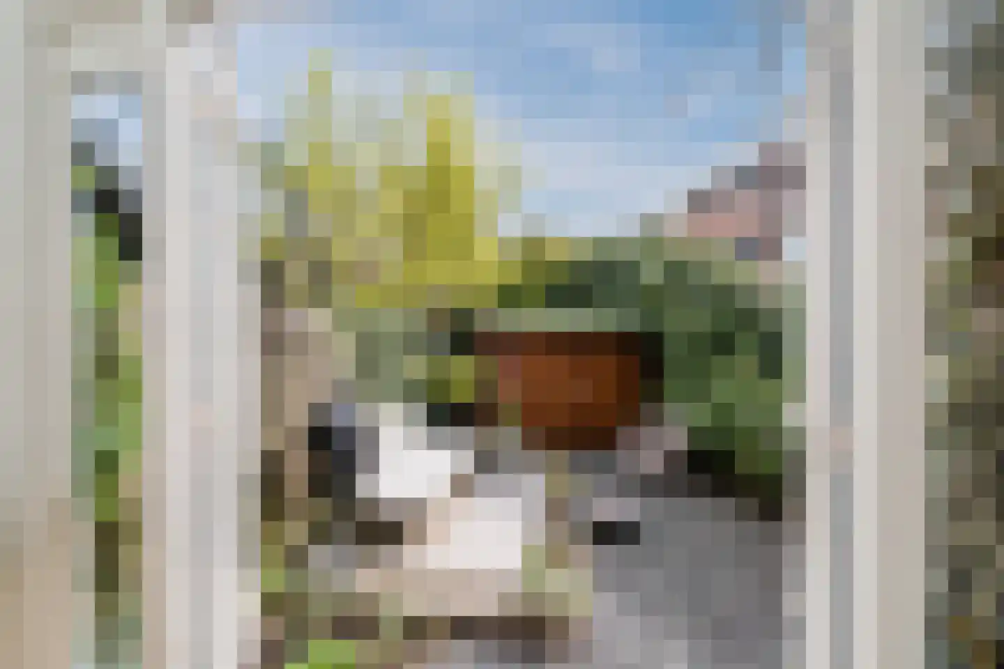 Van Marumstraat 5 Utrecht thumbnail 37