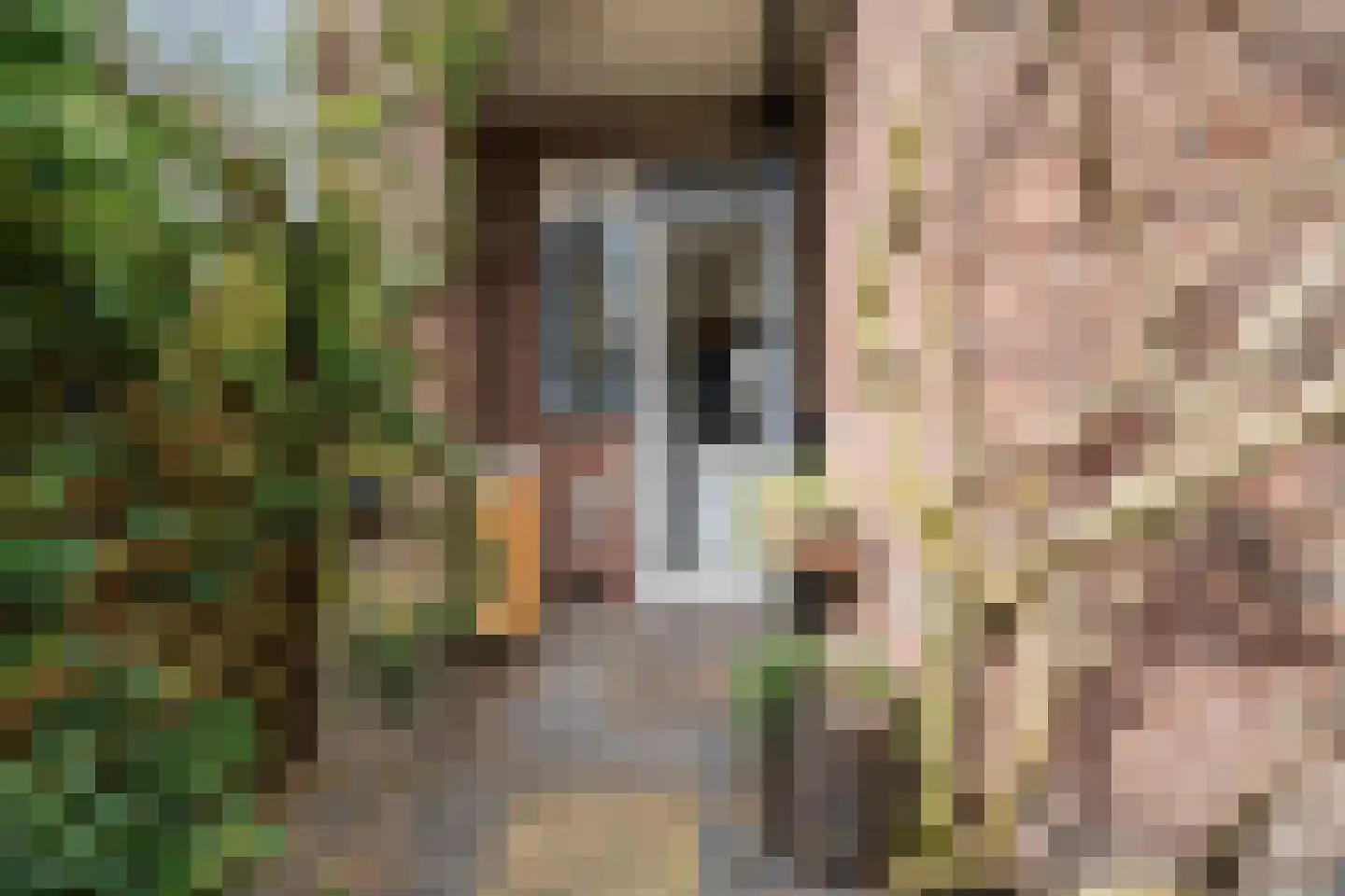 Van Marumstraat 5 Utrecht thumbnail 45