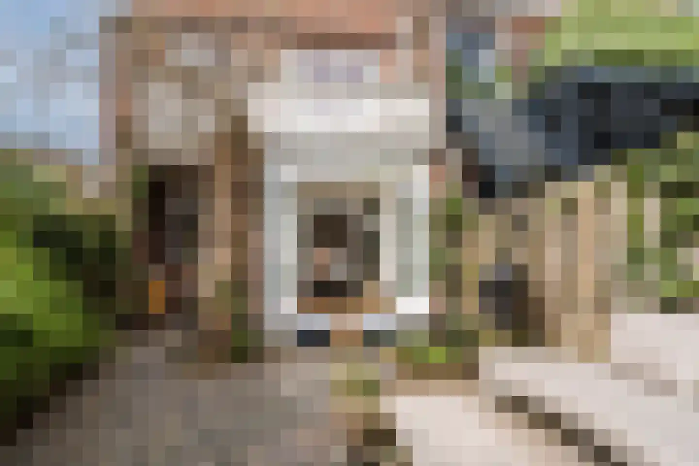 Van Marumstraat 5 Utrecht thumbnail 47