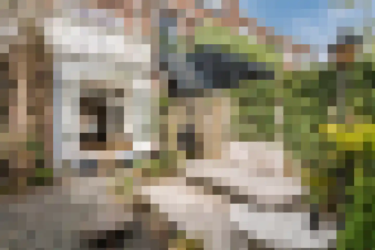 Van Marumstraat 5 Utrecht thumbnail 48