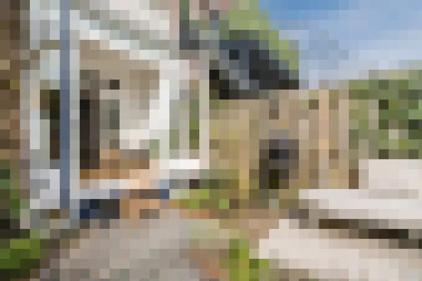 Van Marumstraat 5 Utrecht thumbnail 49