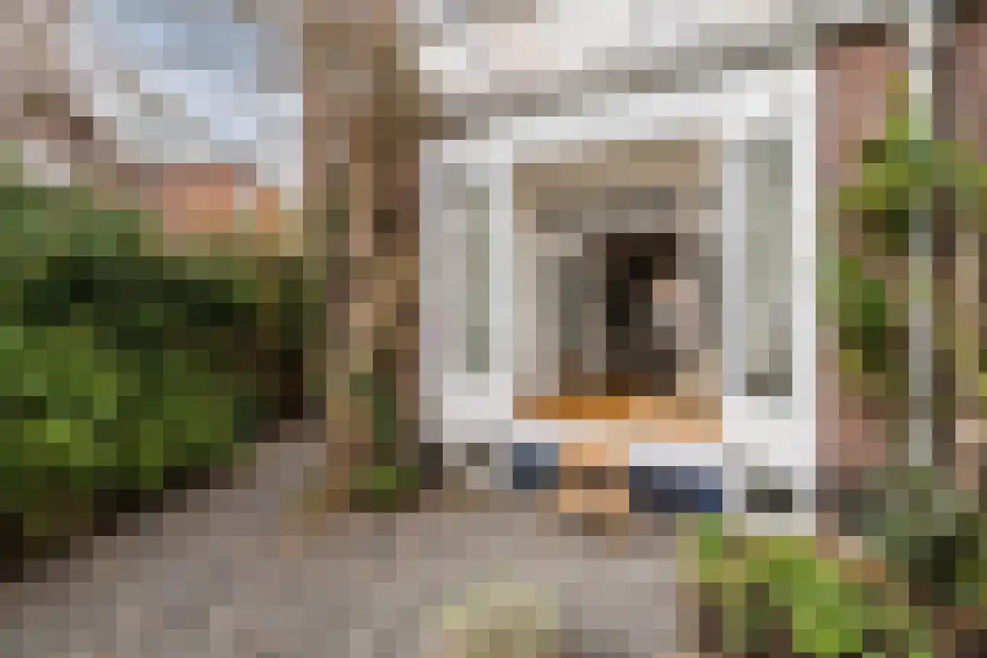 Van Marumstraat 5 Utrecht thumbnail 50