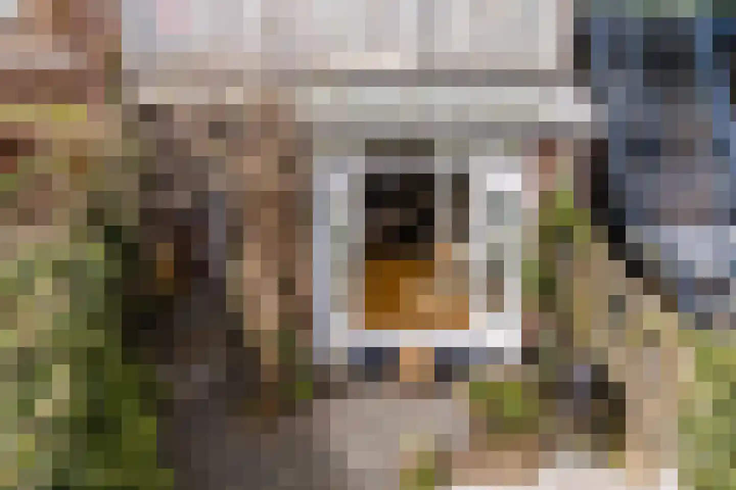 Van Marumstraat 5 Utrecht thumbnail 51