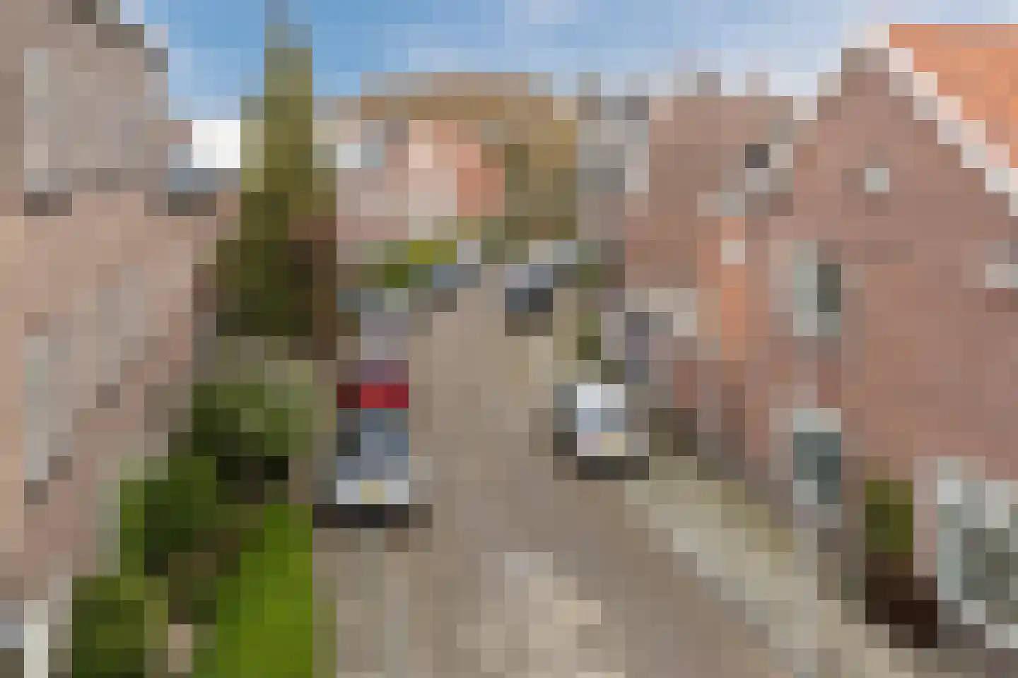Van Marumstraat 5 Utrecht thumbnail 62
