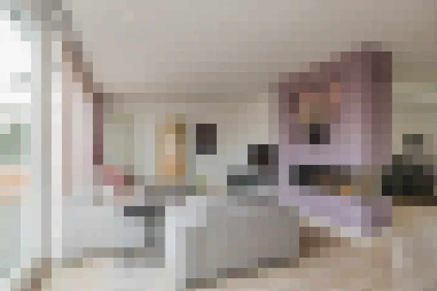 van Matenesselaan 14 Lisse thumbnail 18