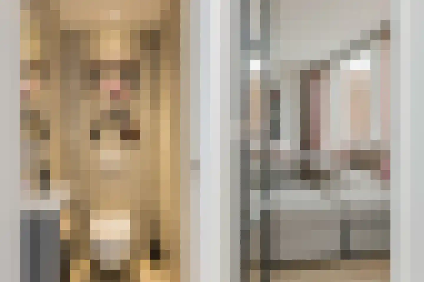 van Matenesselaan 14 Lisse thumbnail 27