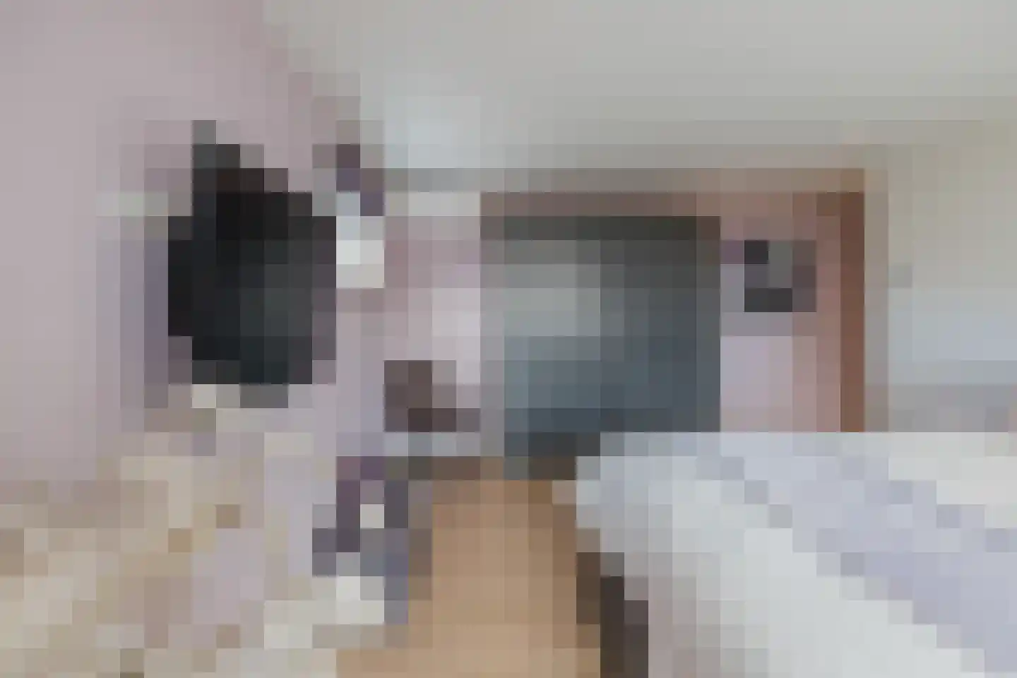van Matenesselaan 14 Lisse thumbnail 32
