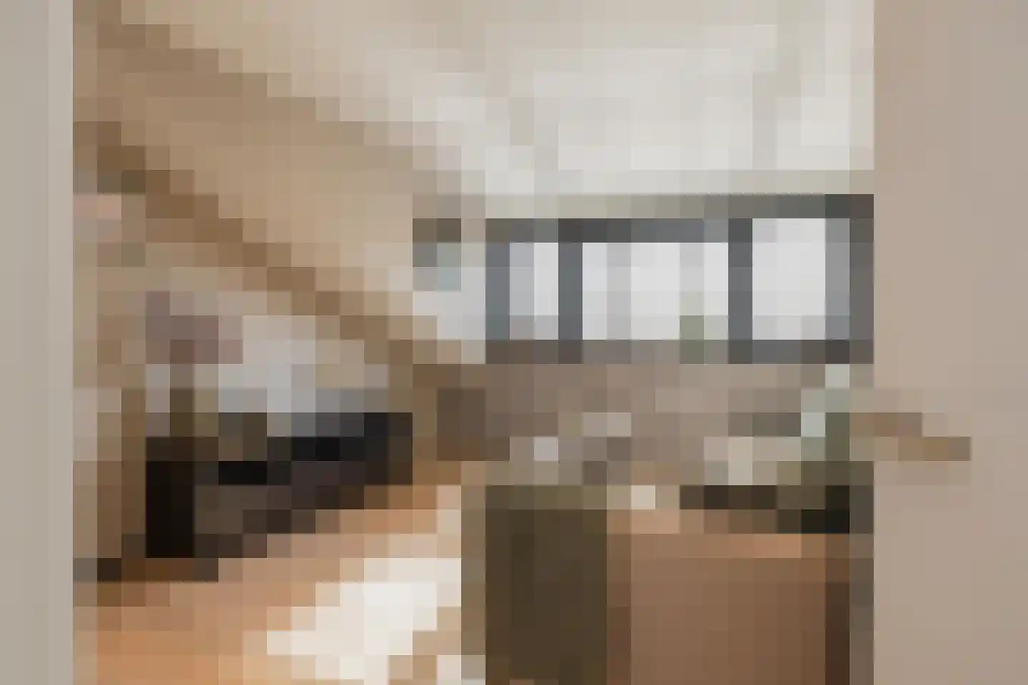 van Matenesselaan 14 Lisse thumbnail 38