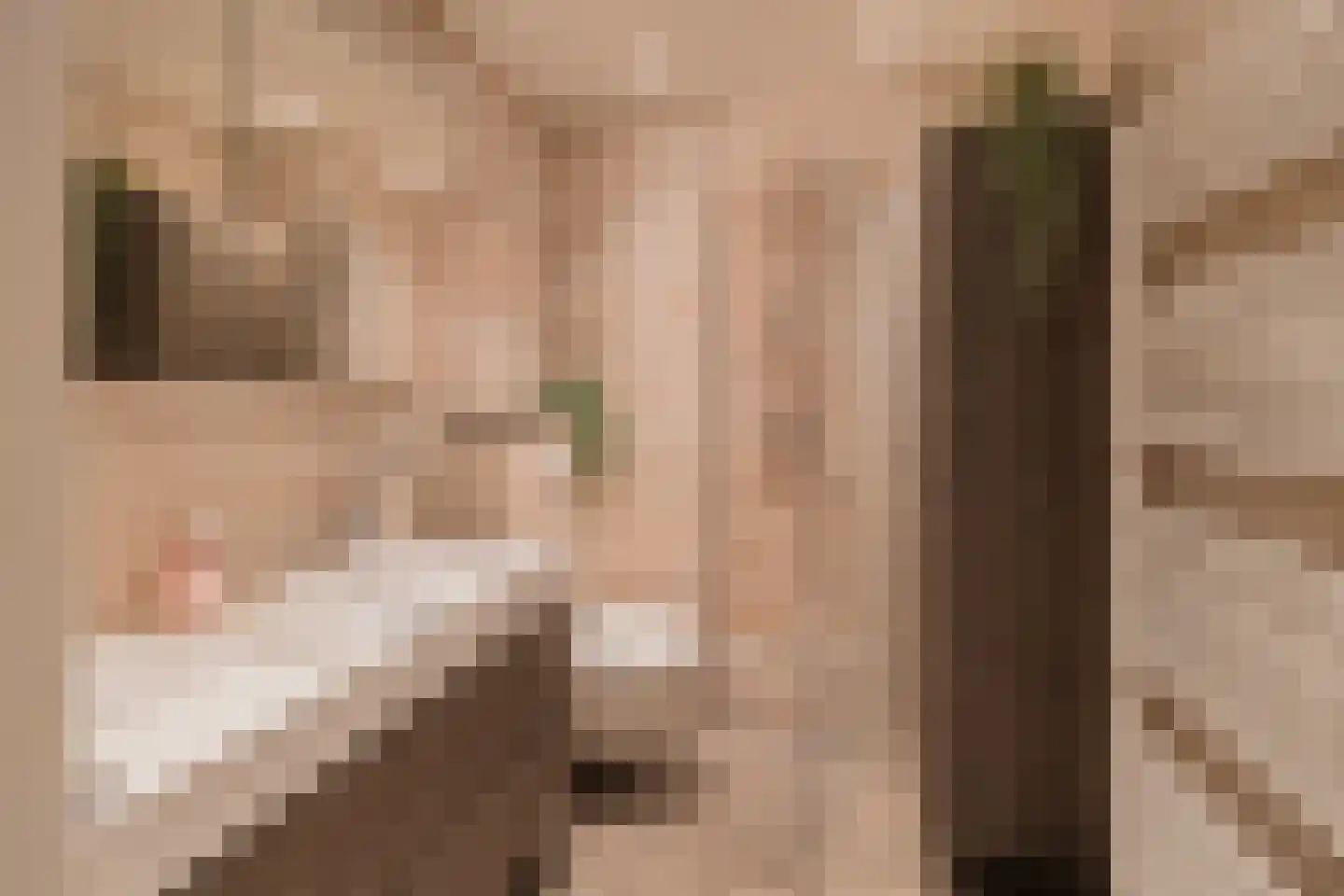 van Matenesselaan 14 Lisse thumbnail 46