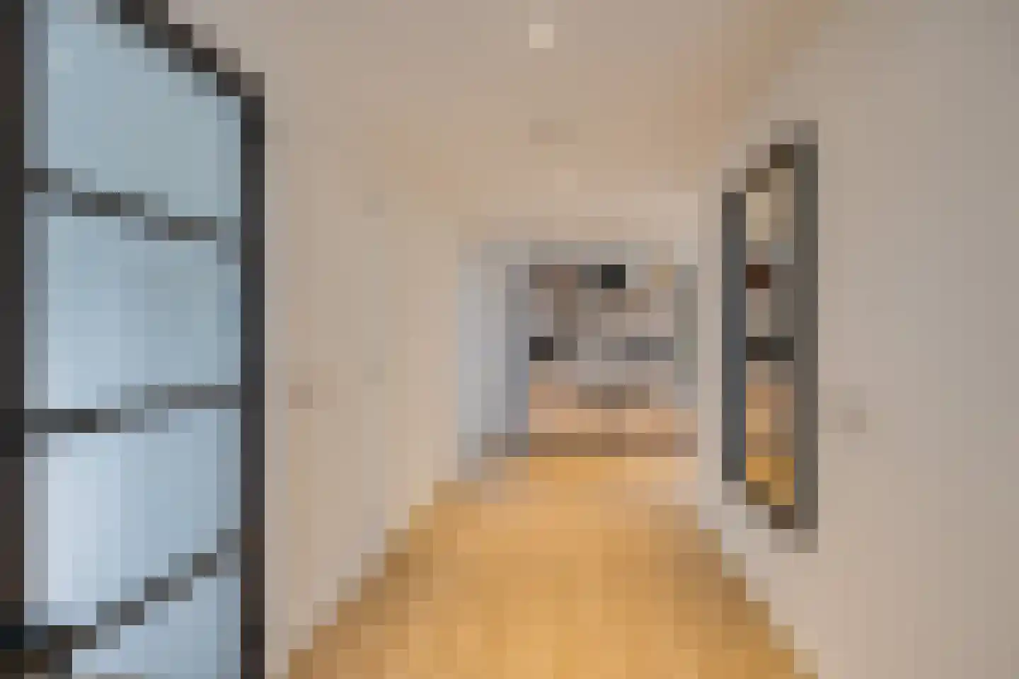 van Matenesselaan 14 Lisse thumbnail 6