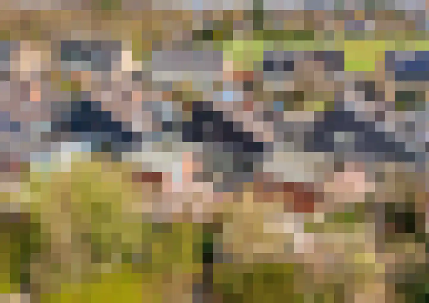 van Matenesselaan 14 Lisse thumbnail 62